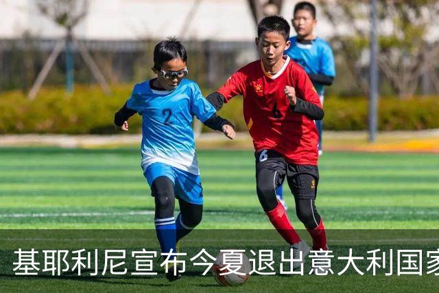 基耶利尼宣布今夏退出意大利国家队 6月最后一战